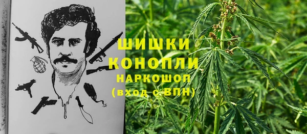 метадон Белокуриха