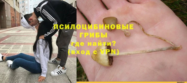 метадон Белокуриха